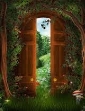 Открытые двери - Внутренний мир поэта